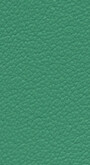 Leather II No. 08124