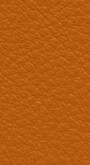 Leather II No. 54033