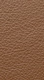 Leather I No. 662