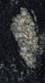 Silver Paradiso