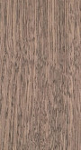 Oak tobacco