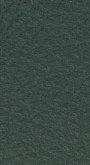 Leder II Nr. 98015